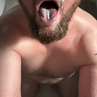 137r0z4113