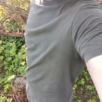 Ekstran